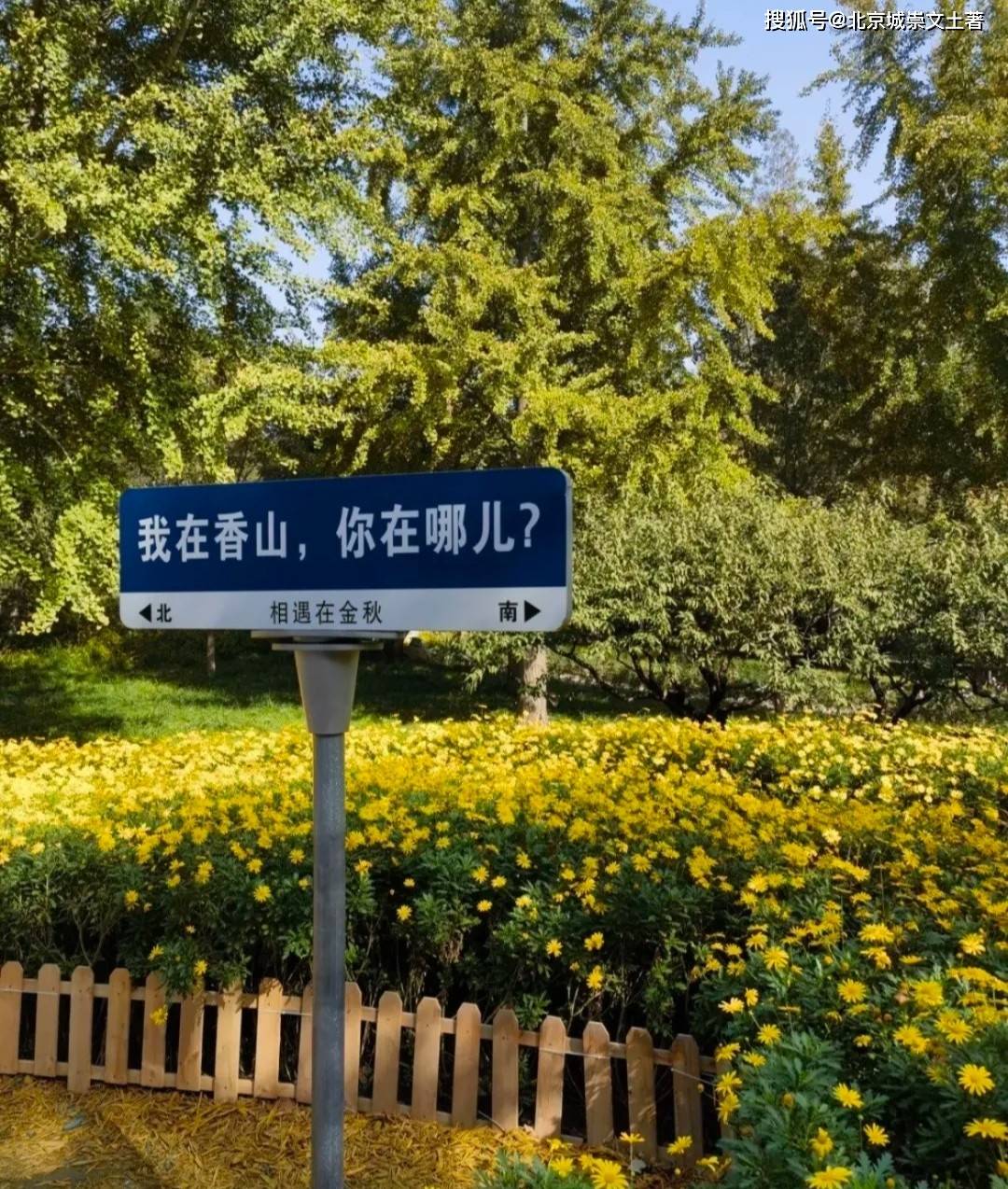 香山公园预约图片