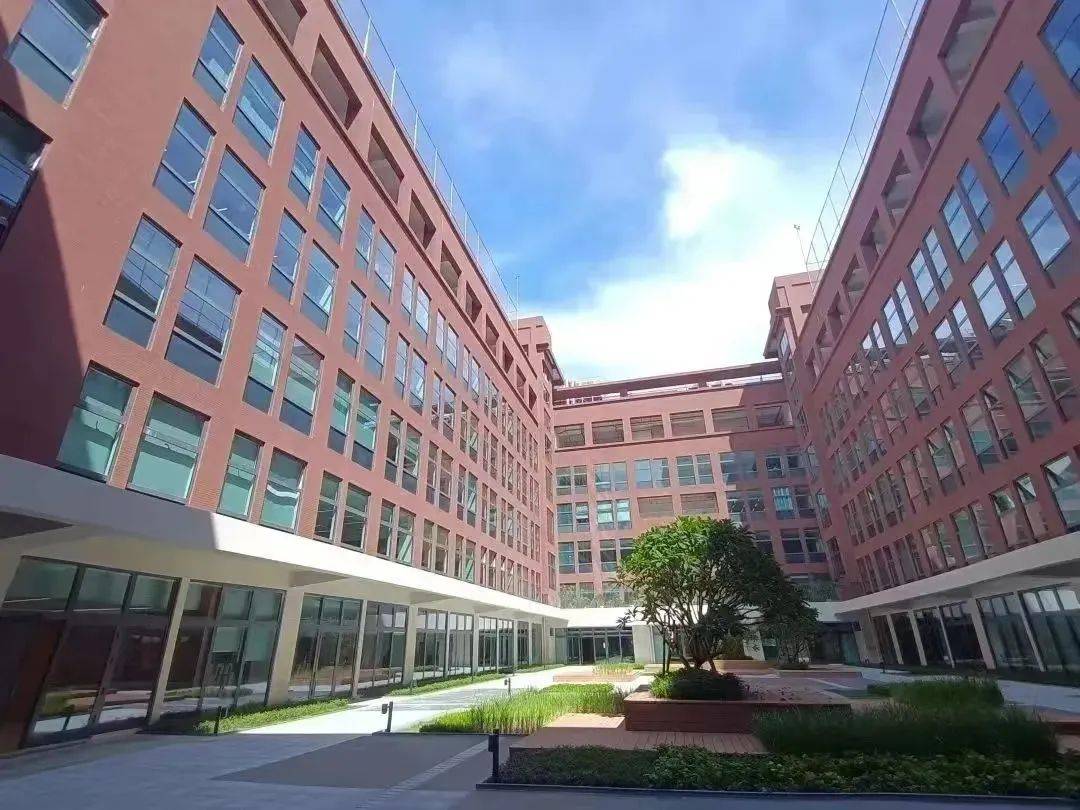 课程_小派_年级