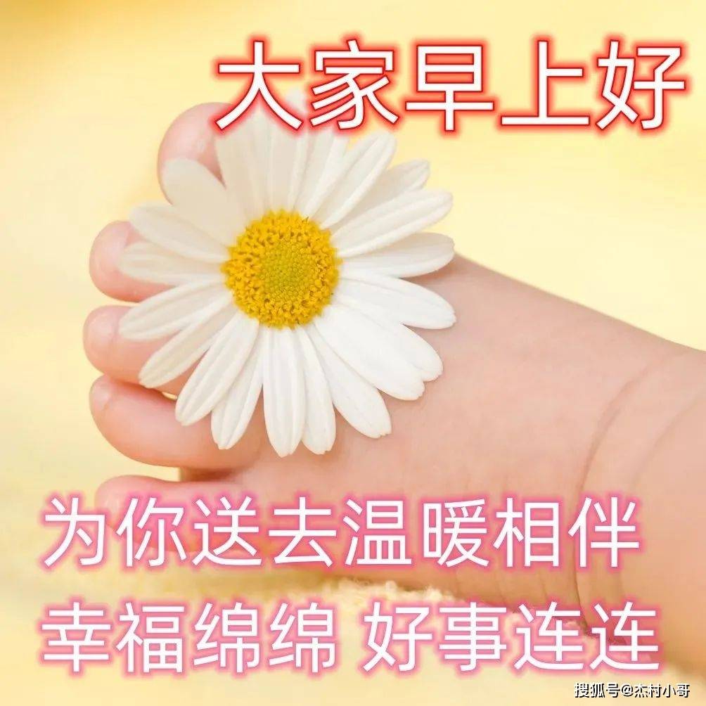 原创            周一问候大家早上好的早安祝福语图片，最新早晨好问候祝福语