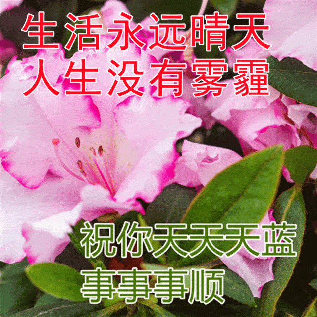 原创            周一问候大家早上好的早安祝福语图片，最新早晨好问候祝福语
