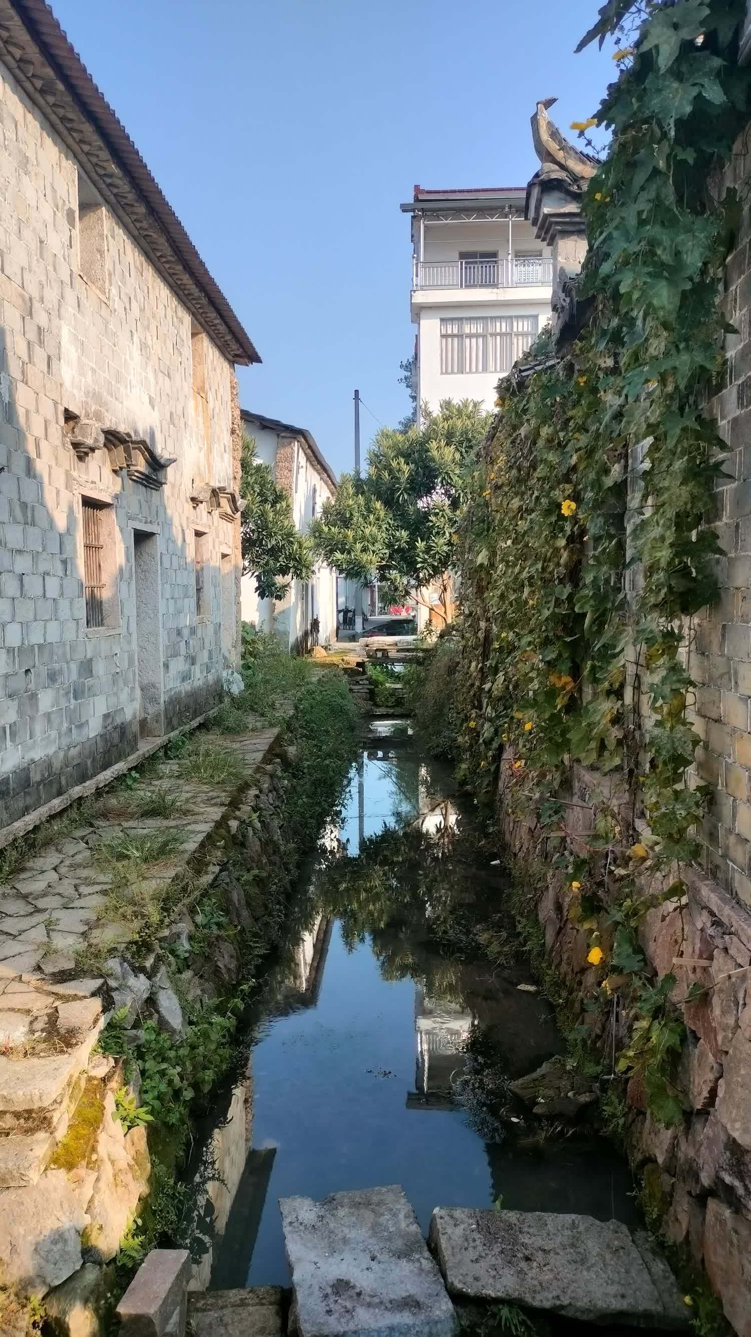 仙居高迁古村图片