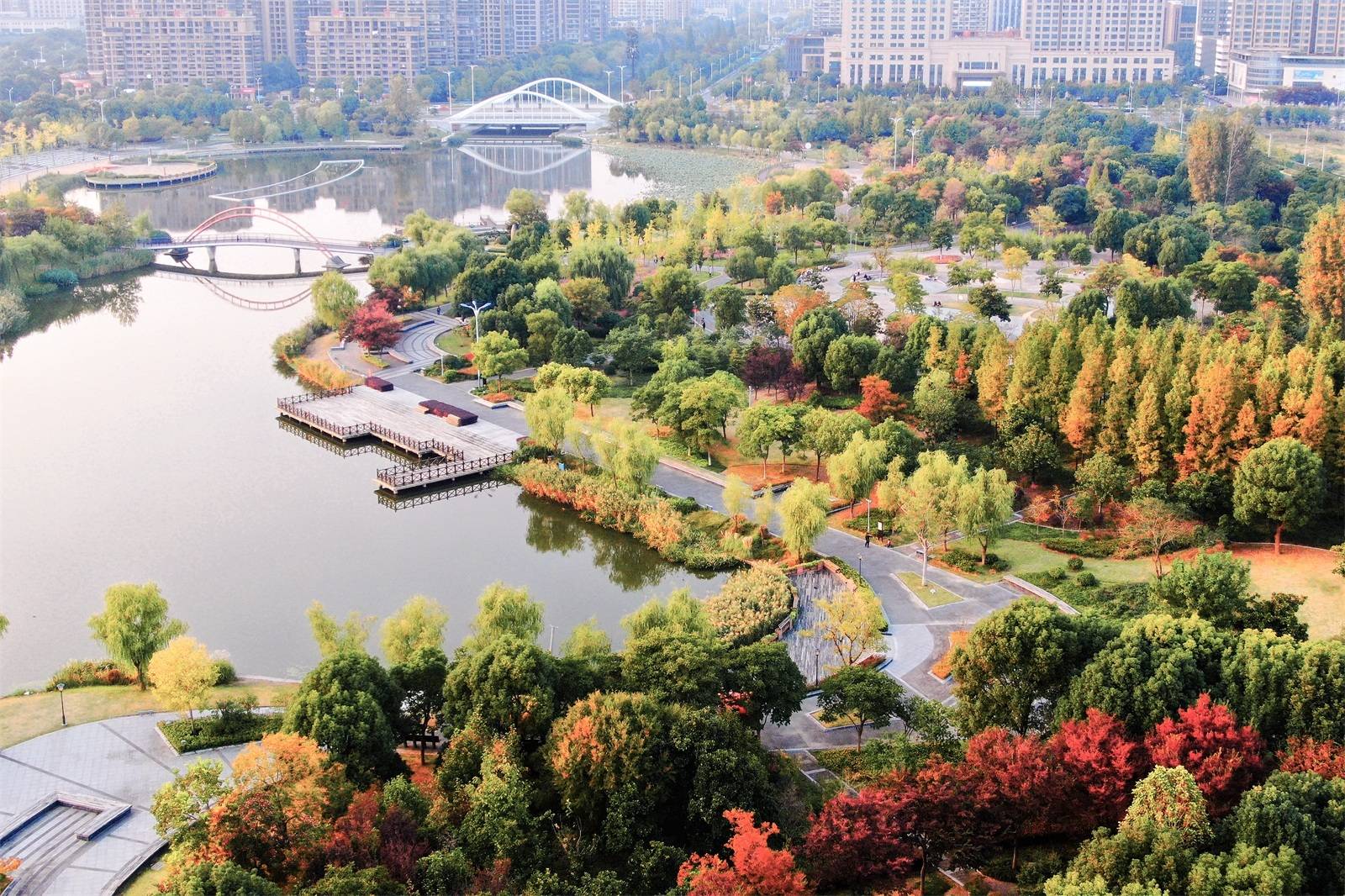 如皋的秋天,像是大自然打翻了调色板,绘就了一幅幅美丽的图画_护城河