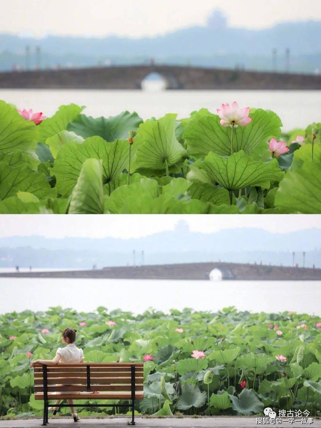 潋滟"2字怎么读,是什么意思,西湖:水光潋滟晴方好_湖面_世界_样子