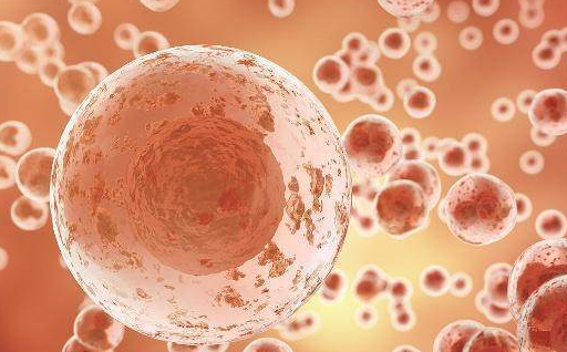 "受精卵"着床的那一瞬间,女人可能会有4种感觉,你中招了吗?