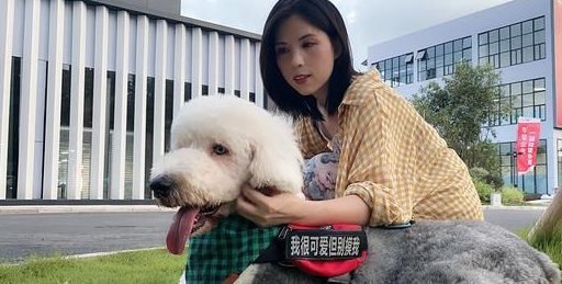 如果狗狗出现这5种行为,就是患有分离焦虑症,铲粪官请注意_主人_离开