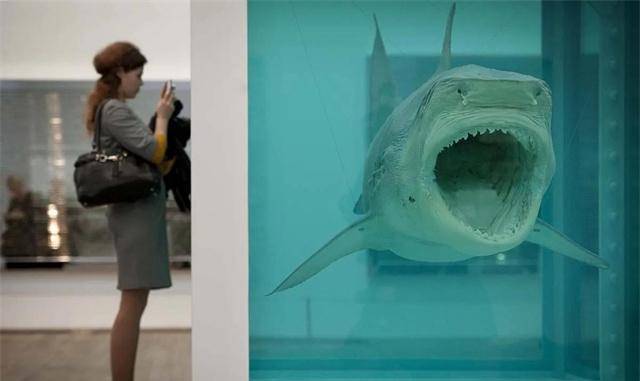 1991年他花5万买下一头死鲨鱼,13年后价格涨到6691万_达米恩·赫斯特