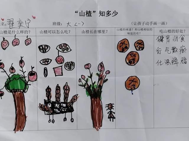 幼儿园大树调查表图片图片