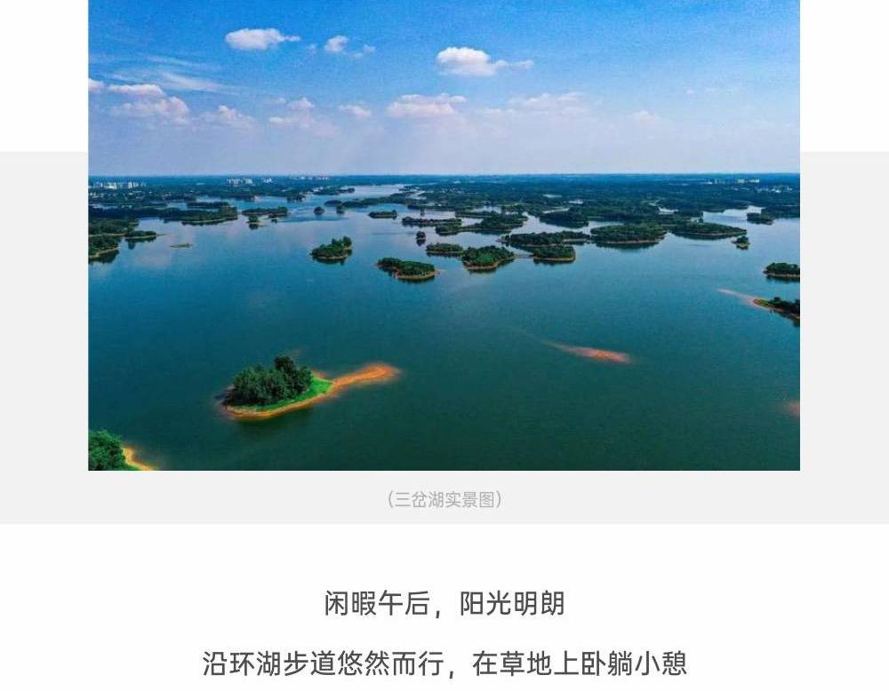 的世界