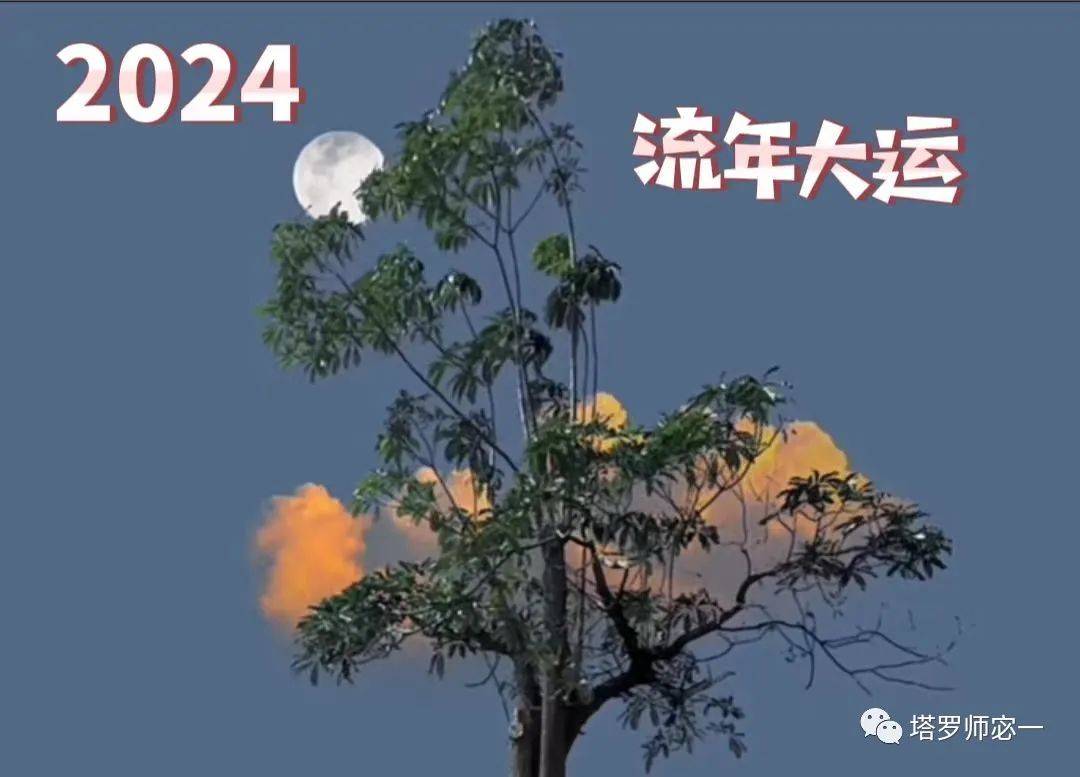 流年顺遂!2024年犯太岁生肖必看锦囊