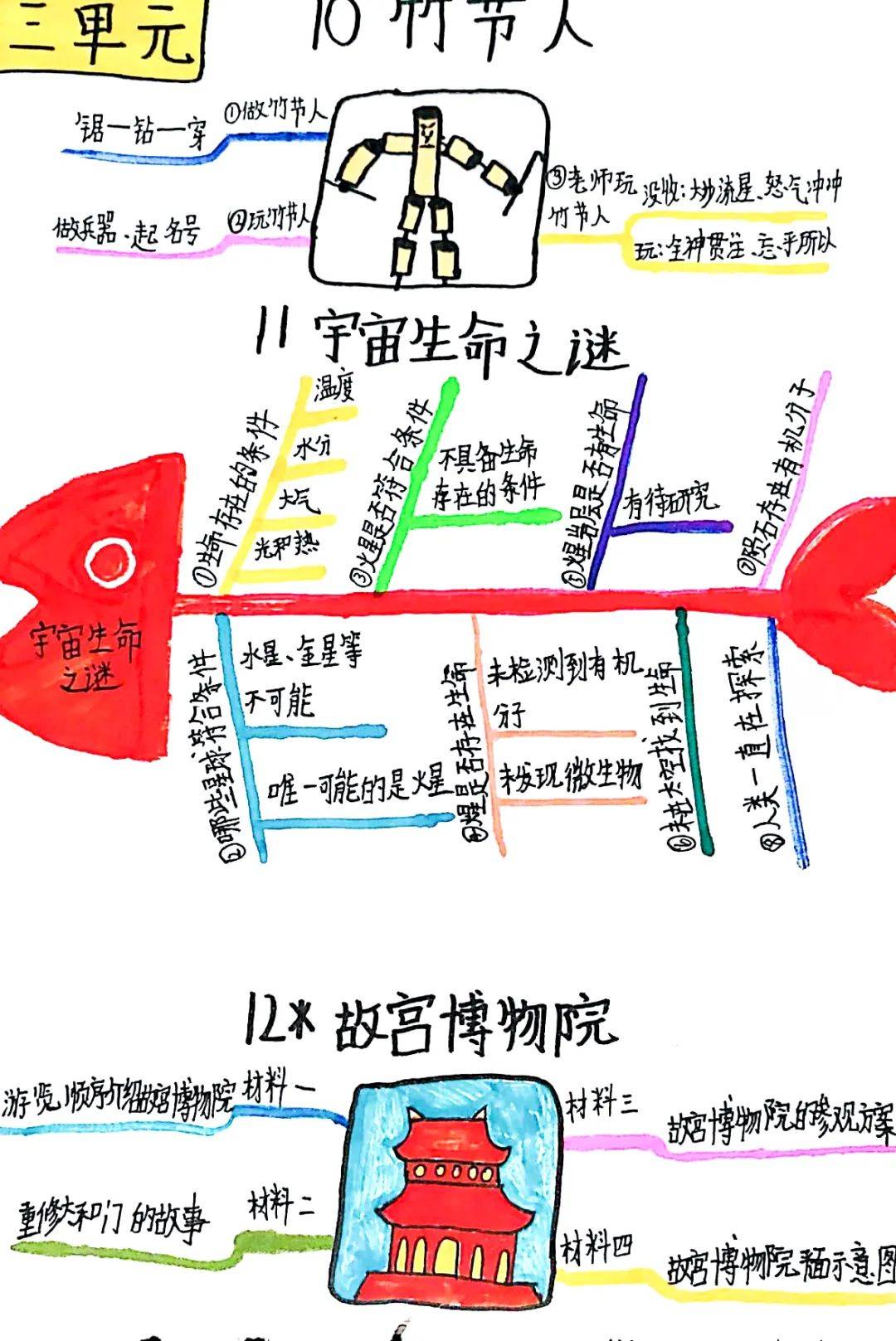 五,六年级老师结合本班学情,鼓励学生以以思维导图的形式,立足单元