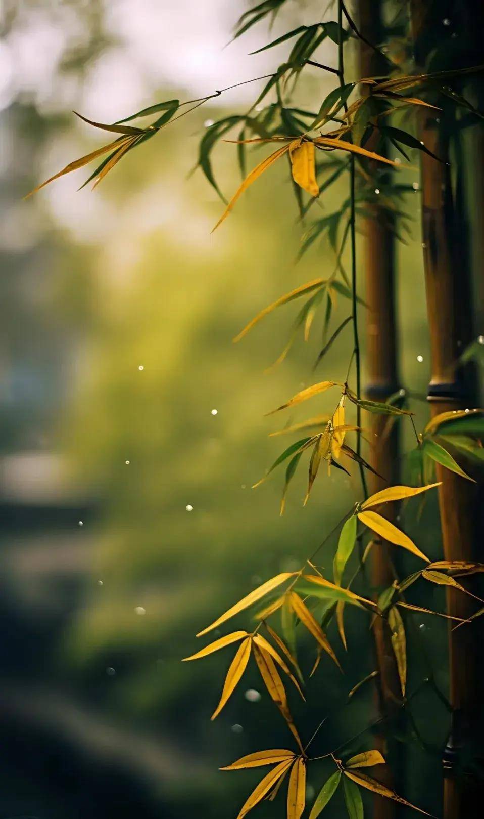 人若坏到底,老天必找你-生活中的因果报应