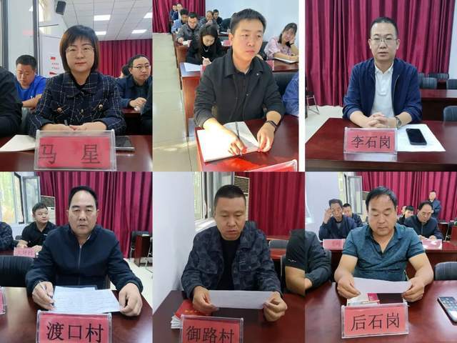 沙河市刘石岗镇召开人大代表述职评议会_选民_行动_人民