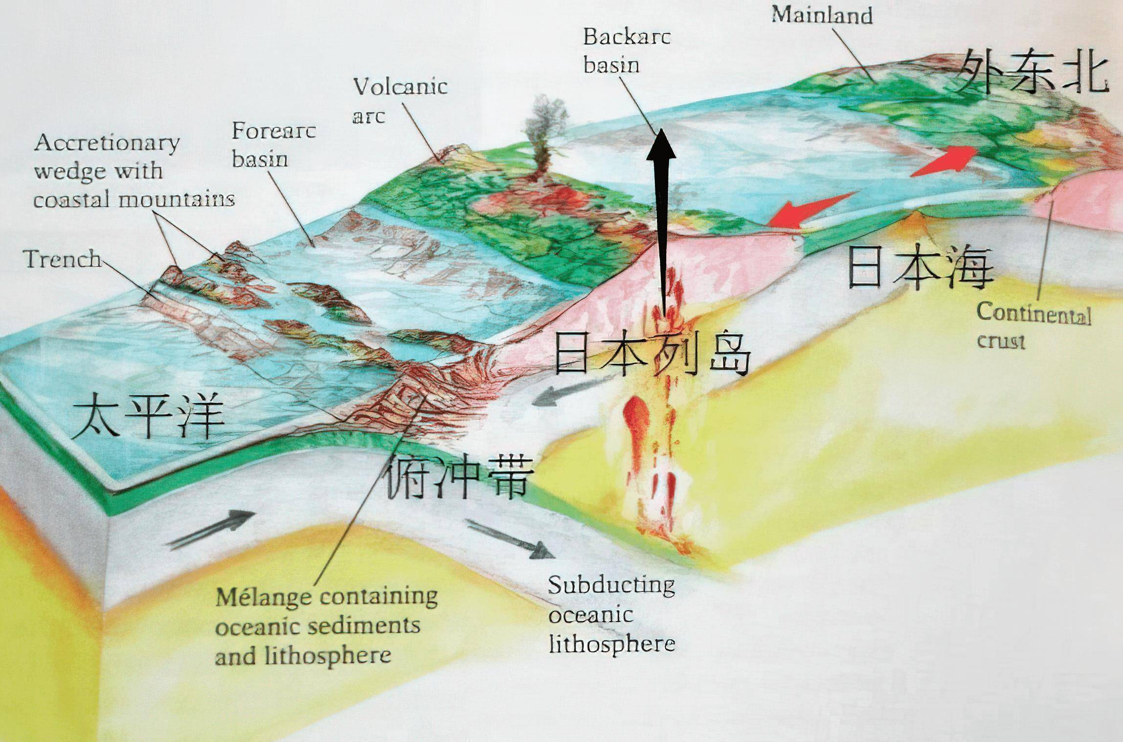 日本_海水_世界