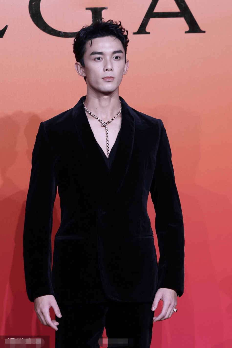 宝格丽红毯:章子怡险些绊倒,赵露思最时尚,却像"穿大人衣服"_舒淇