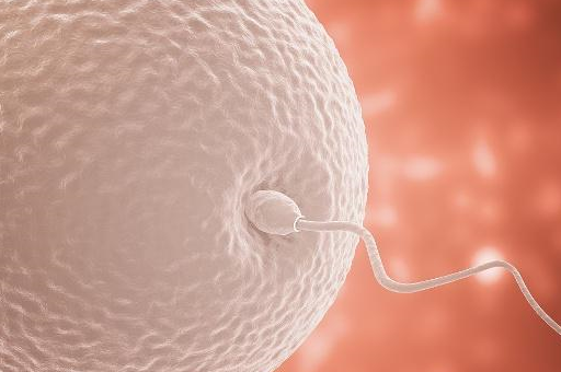 伴随着腹部痉挛的情况,这两种情况就被称为受精卵着床出血以及着床痛