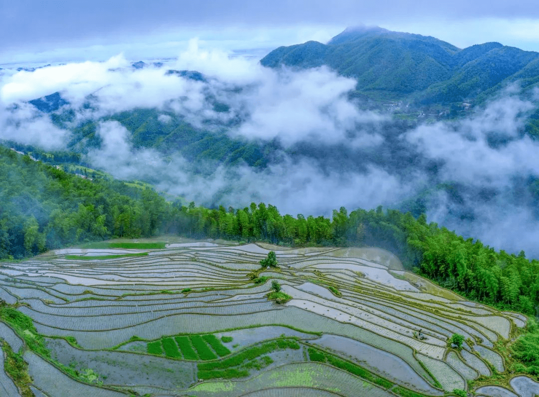 地道好酒 大山大湖出江西_中国_万寿宫_视觉
