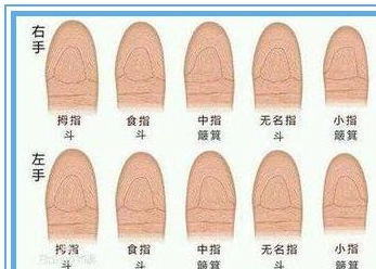 都知道一斗穷二斗富!为何有富纹不富,那是你不知道斗簸箕有反的