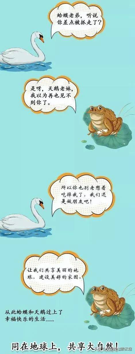 蟾蜍_网友_男生