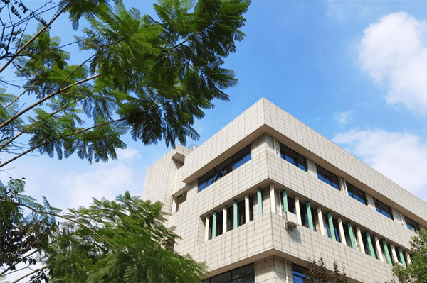 东山国际小学,向阳桥小学在等你_学科_证书_规定