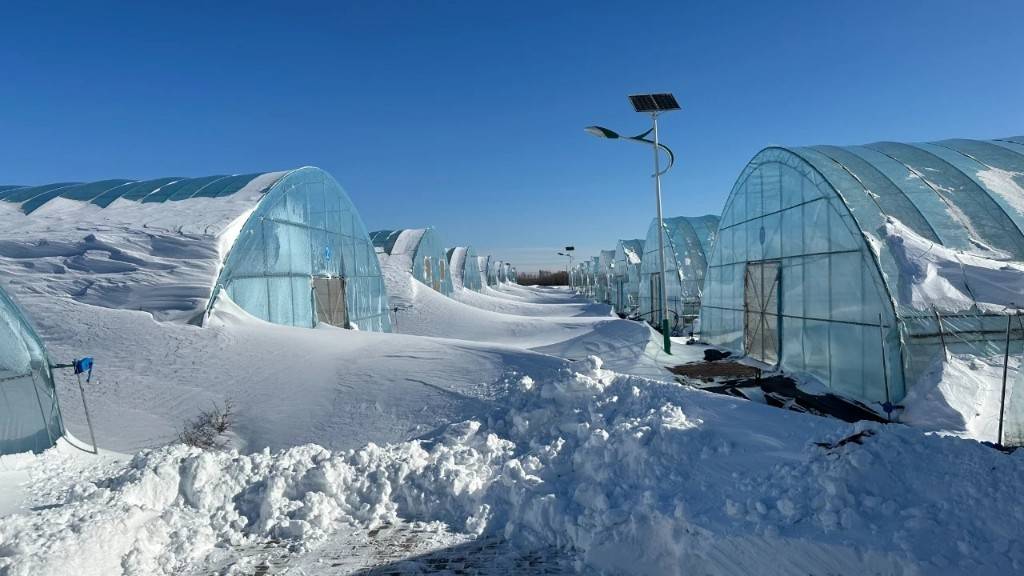 大棚防雪设计图片