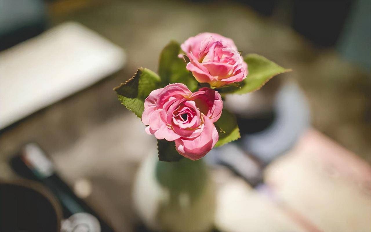 真正厉害的女人,对待男人的态度:8个字,这才是真聪明_爱情_独立_李