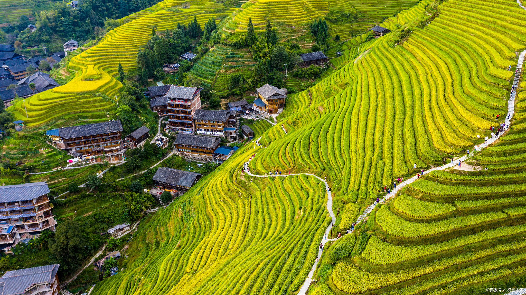 龙脊梯田简介景区图片