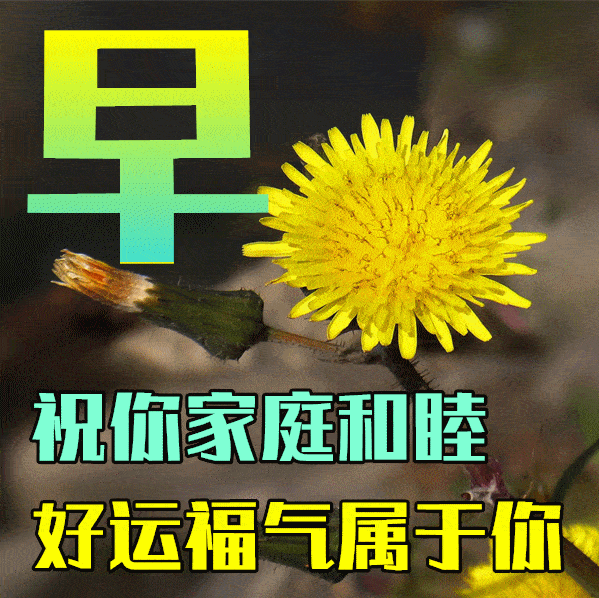 最新漂亮早上好动态表情图片带祝福语 唯美秋天早安问候祝福图片_人生