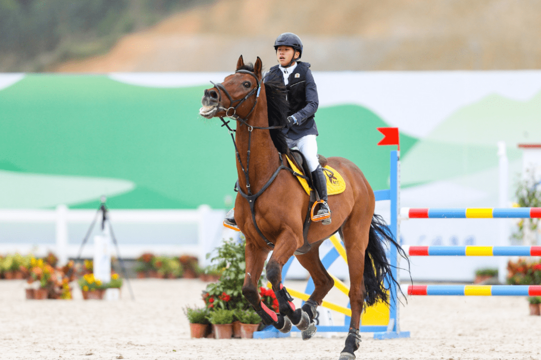 武汉学院分数线是多少_武汉学院起分线_2024年武汉学院录取分数线及要求