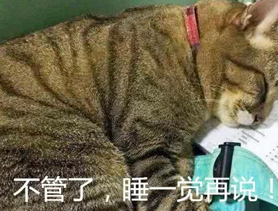 猫咪趴在主人的作业上,表情很是无望,网友:那是我的真实写照!