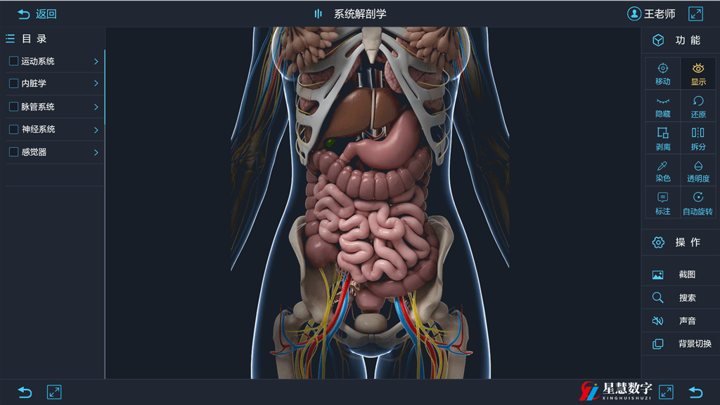 人体3d解剖软件在医学教育中的崭新时代