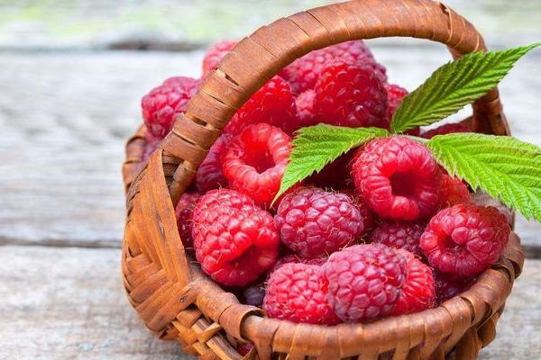 清热解毒,消肿止痛,咳嗽远离你_蛇莓_功效_抗癌