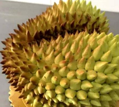 以假乱真的水果蛋糕,橘子发霉太逼真,打赌你肯定认不出榴莲!(图4) 以假乱真的水果蛋糕,橘子发霉太逼真,打赌你肯定认不出榴莲!(图4)