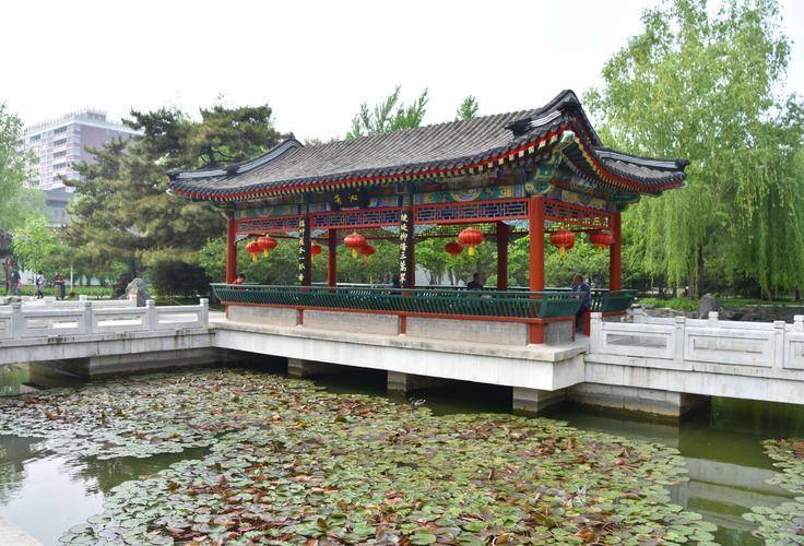 解析:沁芳桥上自然是"沁芳亭"了.