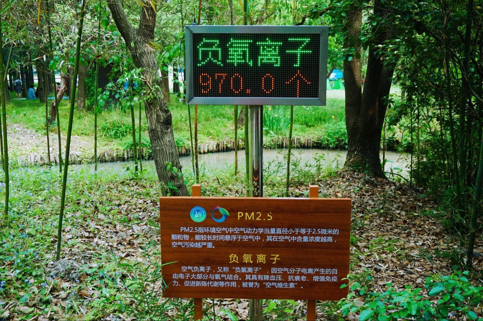 负氧离子已成生态旅游热点_庐山_中国_张家界