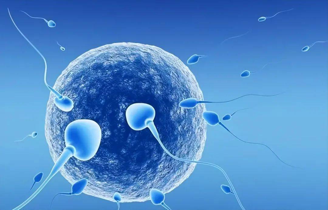 德国科学家的惊人发现: 纳米机器人助精子受精：