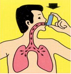 缓慢深吸气的同时,按压揿压器的中心部位,直到在揿压器内停止移动