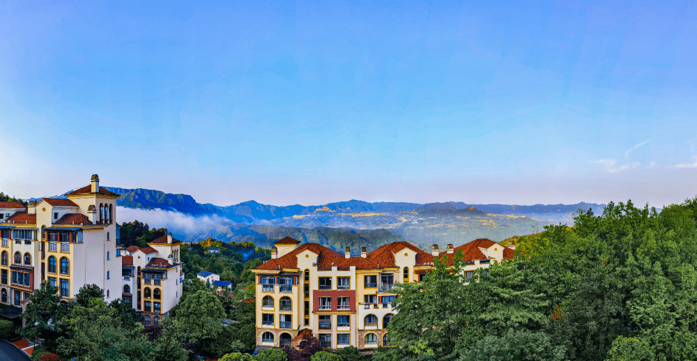 金洲61云澜栖海拔1200米,90%森林覆盖率,35000个负氧离子含量每立方