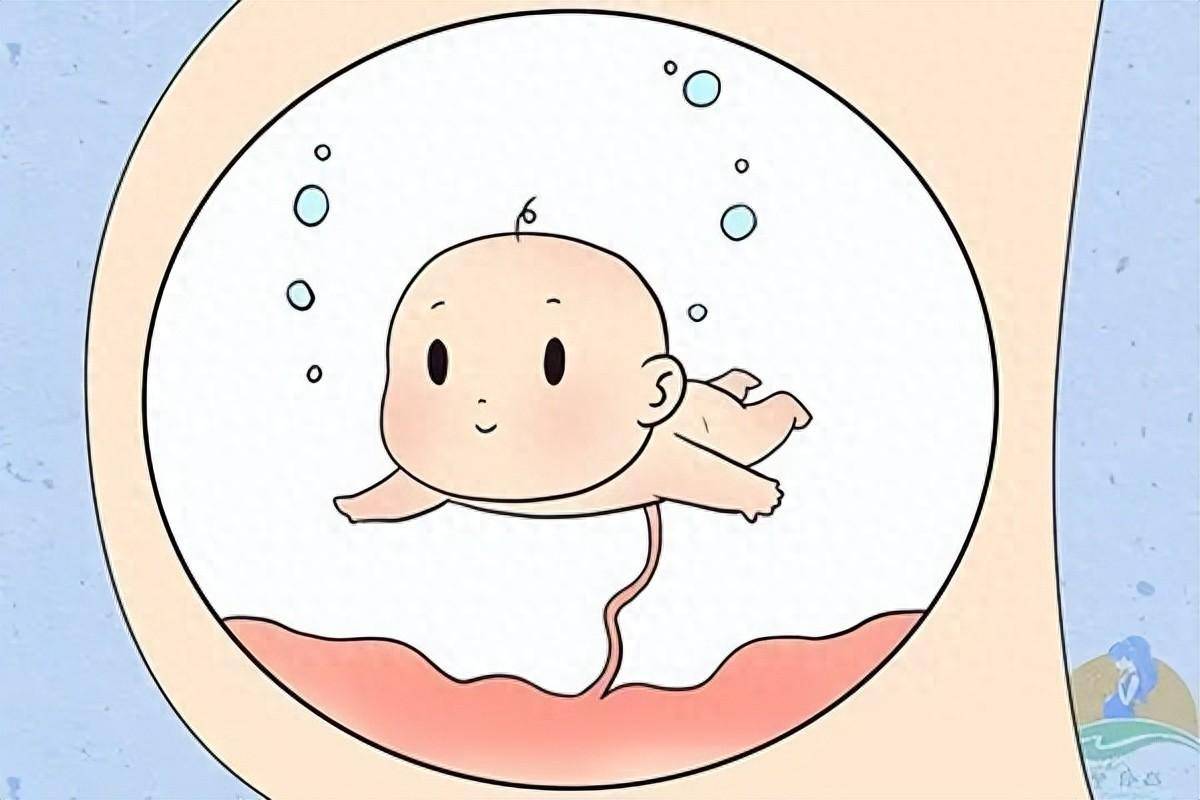 "羊水"到底是什么水?一文带您了解这个神奇的water_胎儿_羊膜_子宫