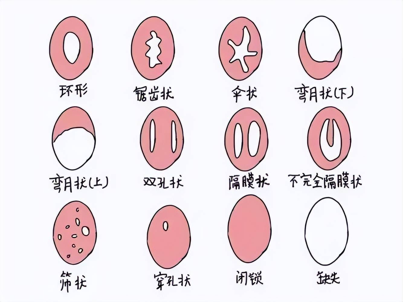 女性_性教育_性行为