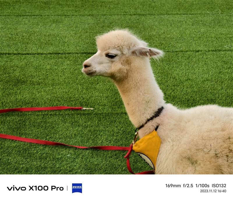 拍月亮那都不是事儿！vivo X100 Pro评测：APO认证的超级长焦 它能拍太阳(图31)