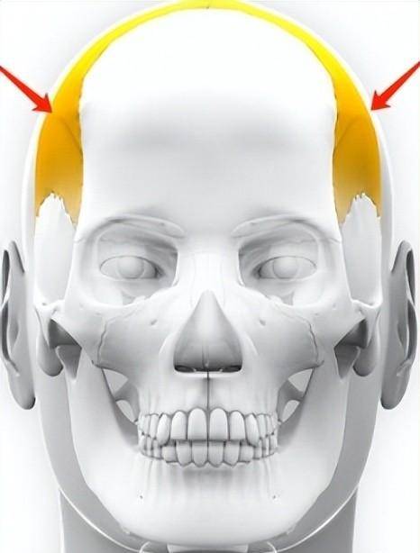 她这扑面而来的油感,都可以跟张翰搭部剧了…_头骨_日本_材料