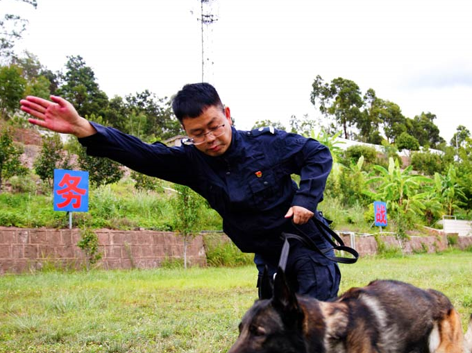 "神犬奇兵"炼成记