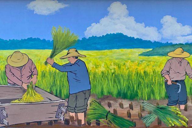 昌宁柯街镇:村史上墙绘出乡村振兴画廊