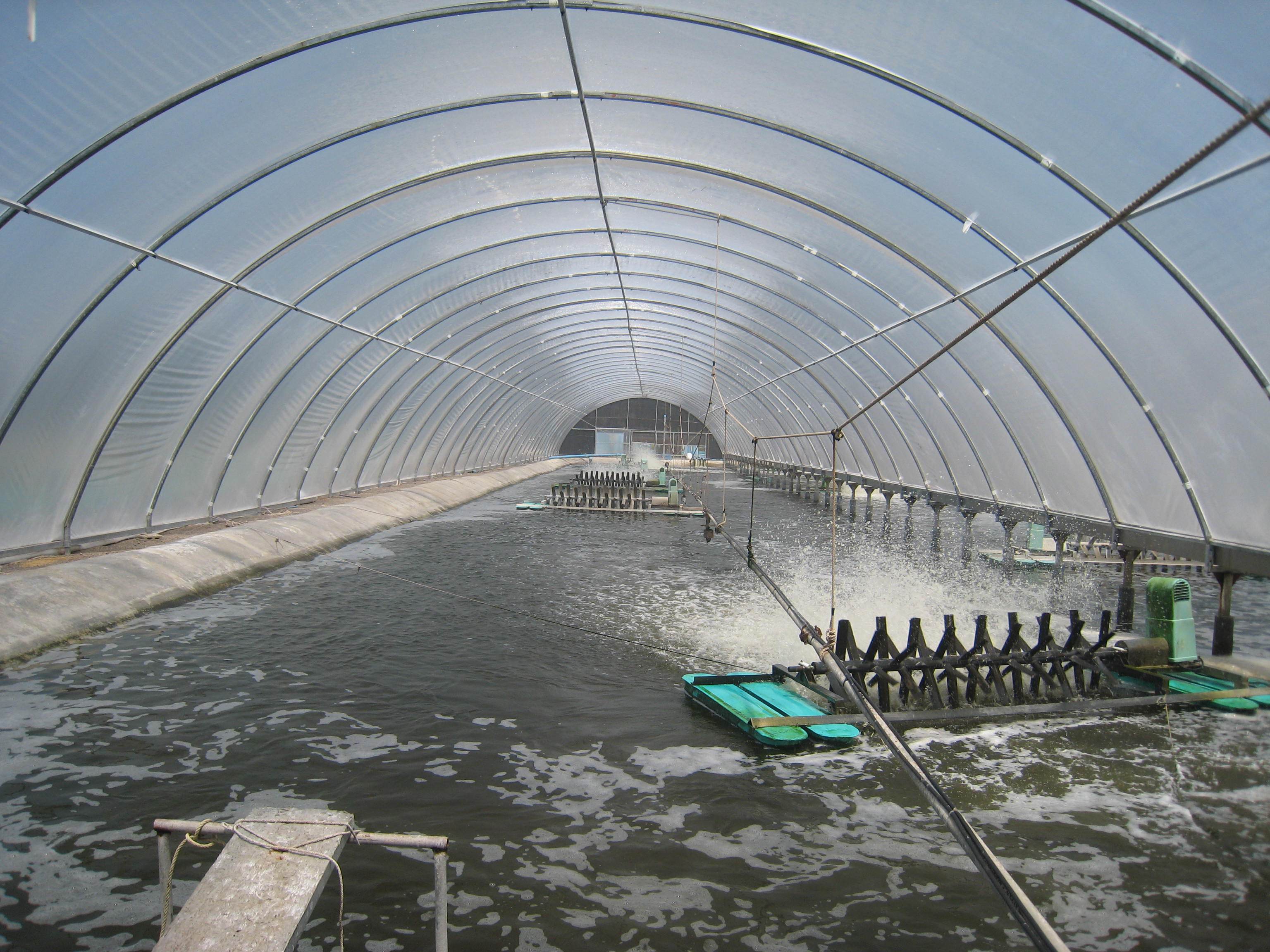 为什么都说水产养殖行业还有发展空间?