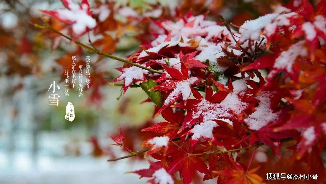 最新小雪早上好表情包大全,天冷了,照顾好自己,祝大家小雪节气快乐!