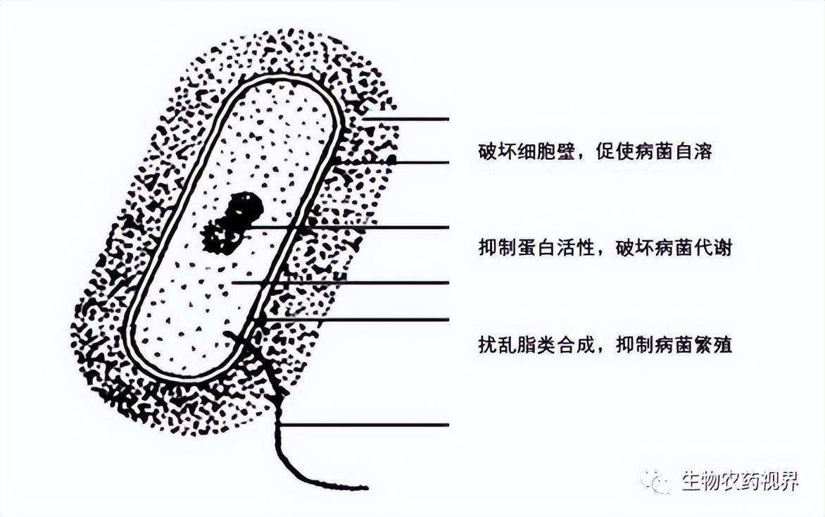 其他生物農藥殺菌劑1,氨基寡糖素也稱為農業專用殼聚糖,可改變土壤微