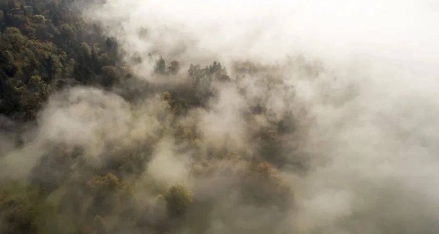 家电企业搞数字化并不是要干掉谁-家电圈官网