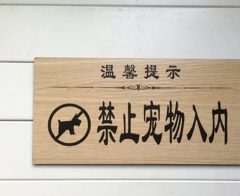 网友爆料在北京的某餐厅内，网友带着自己的宠物狗一同上桌吃饭，看上去十分不卫生，在网上引起了讨论。