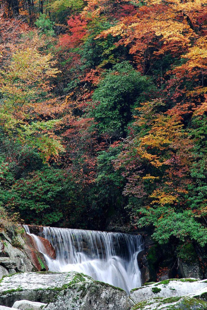 探访秘境光雾山,寻找四川巴中最后的秋天,红叶美景不输日本京都