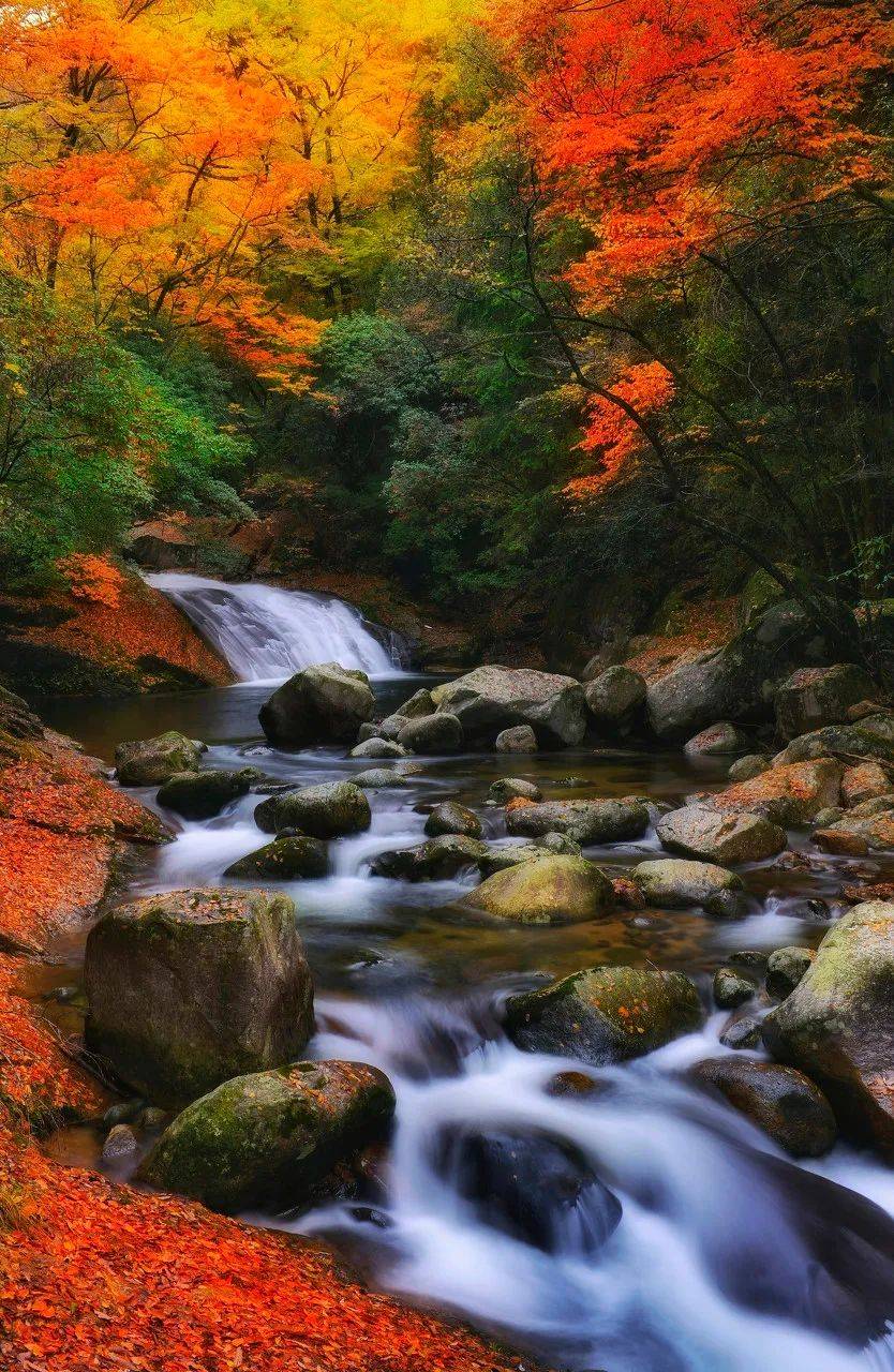 探访秘境光雾山,寻找四川巴中最后的秋天,红叶美景不输日本京都